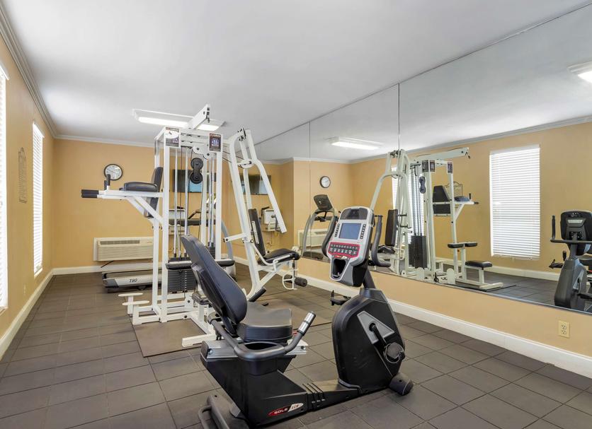 Palestra Foto