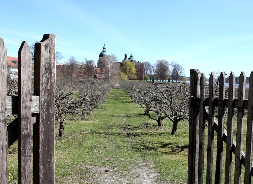 Vista esterna Foto