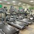 Palestra