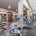 Palestra
