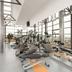Palestra