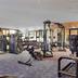 Palestra