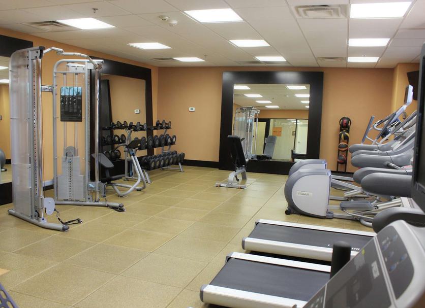 Palestra Foto