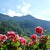 Vista esterna