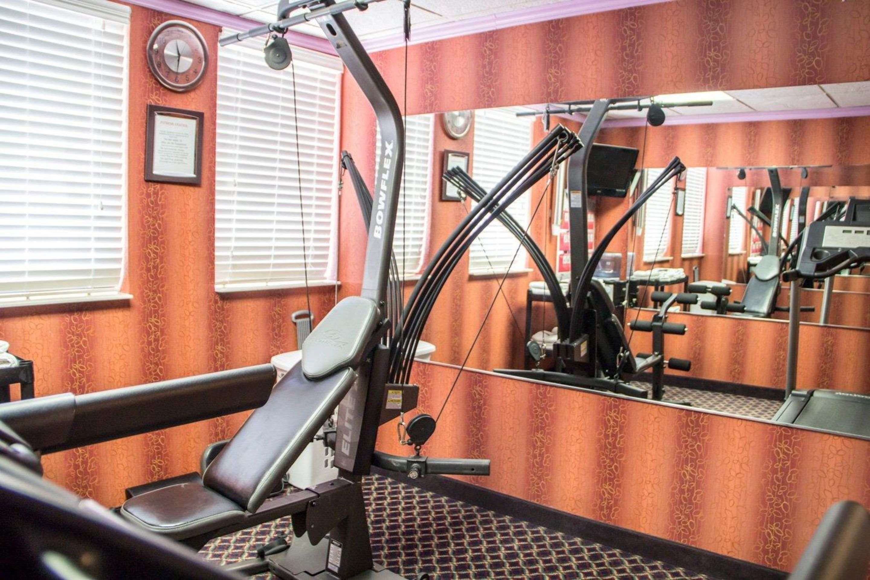 Palestra