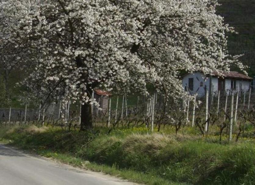 Vista esterna Foto