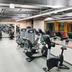 Palestra