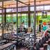 Palestra