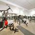Palestra