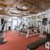 Palestra