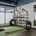 Palestra