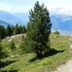 Vista esterna