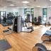Palestra