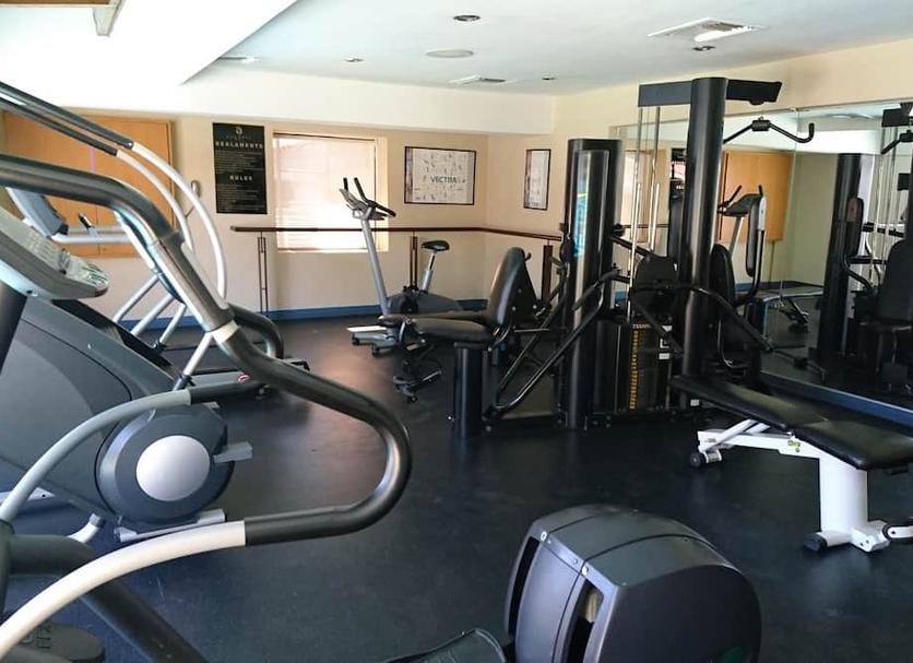 Palestra Foto
