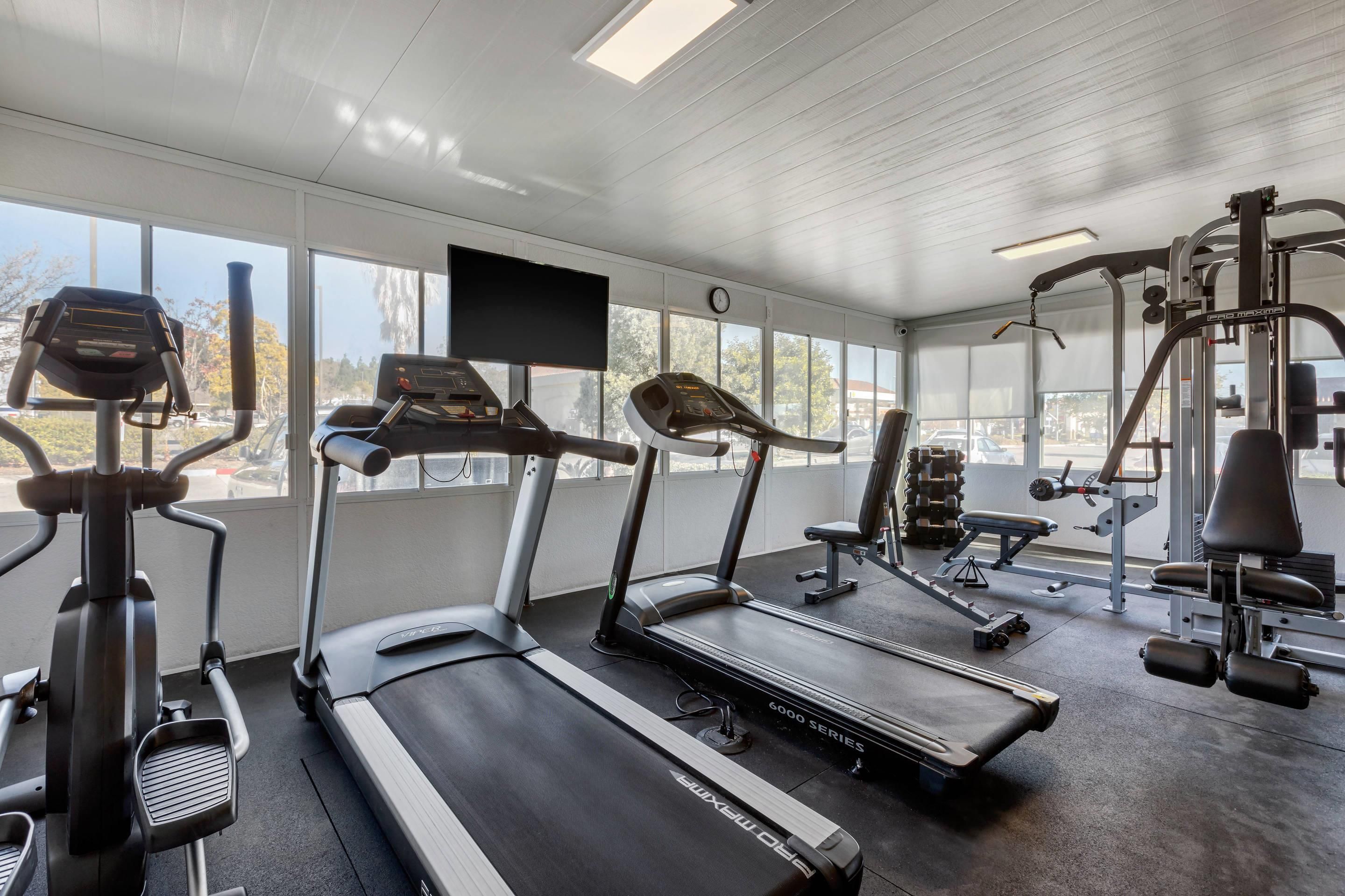 Palestra