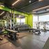 Palestra