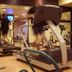Palestra