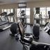 Palestra