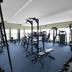 Palestra