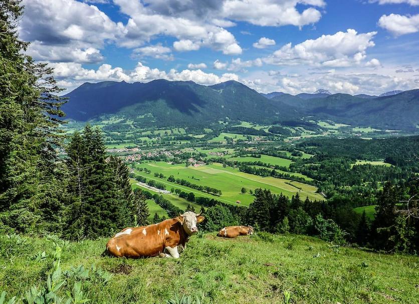 Vista esterna Foto