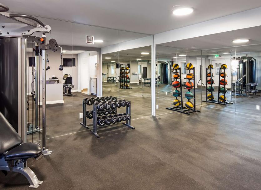 Palestra Foto