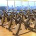 Palestra