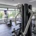 Palestra