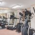Palestra