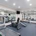 Palestra