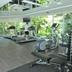Palestra