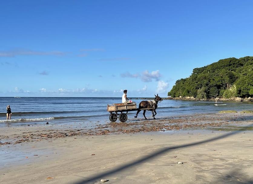 Spiaggia Foto