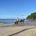 Spiaggia