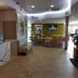 Ingresso