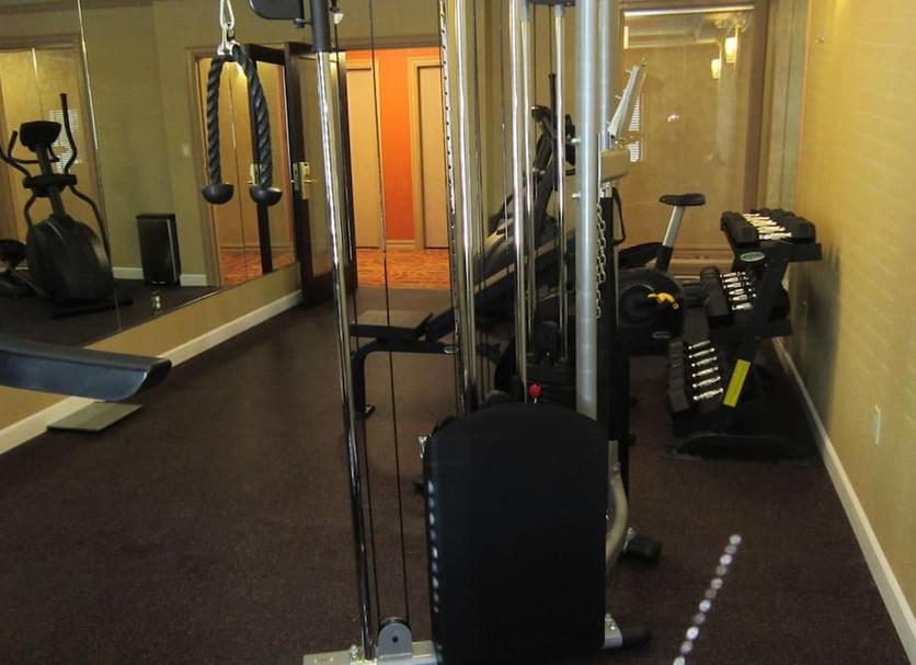 Palestra Foto