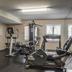 Palestra