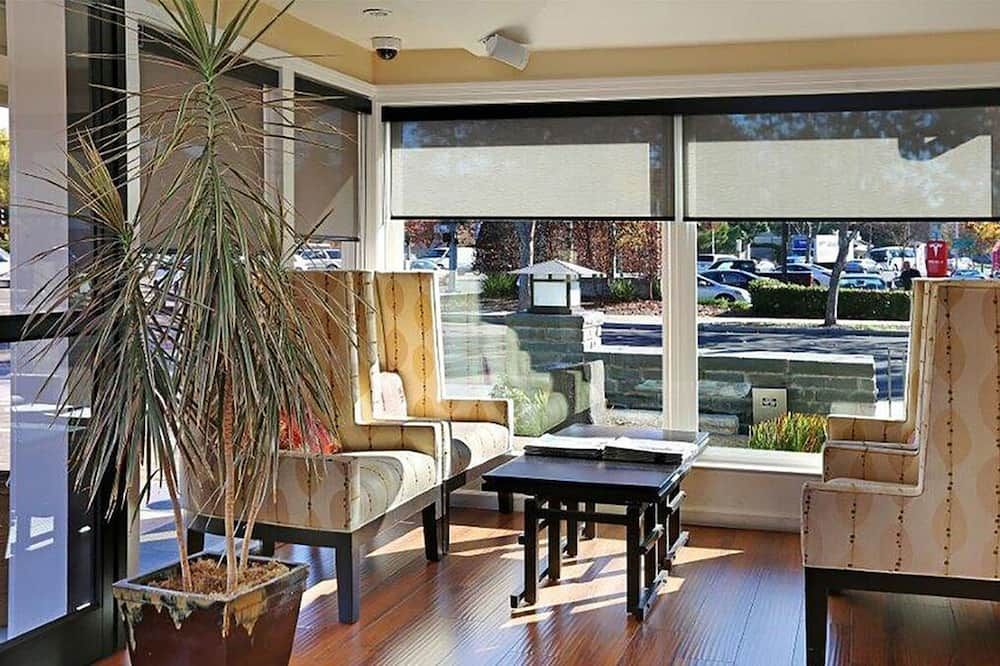 Area lounge