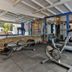 Palestra