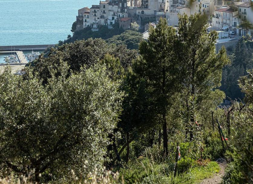Vista esterna Foto