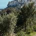 Vista esterna