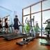 Palestra