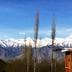 Vista esterna