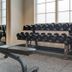 Palestra