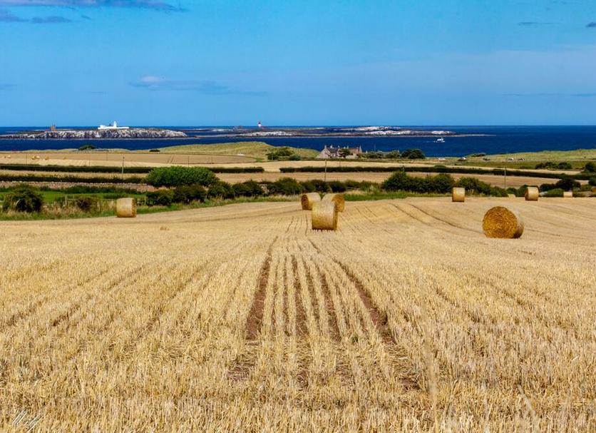 Vista esterna Foto