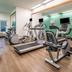 Palestra