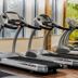 Palestra