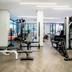 Palestra