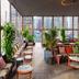 Area lounge
