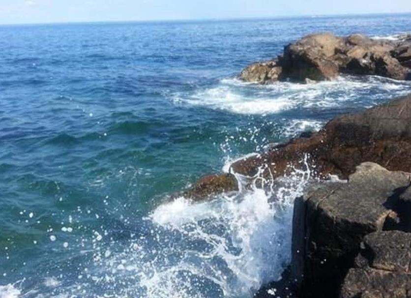 Altro Foto