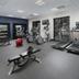 Palestra