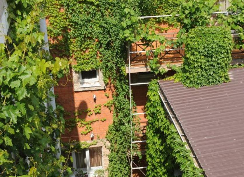 Vista esterna Foto